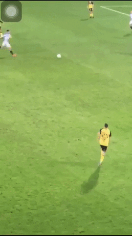 frincenguyen giphygifmaker GIF