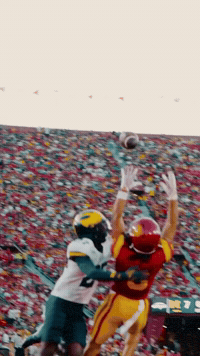 Fight On GIF