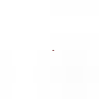 Party Wow GIF by SwissSalary Ltd.