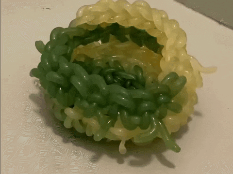 alicejsowa giphyupload GIF