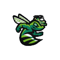 Baseball Augusta Sticker by GreenJackets