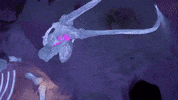 meowwolf mastodon meow wolf meowwolf meow wolf santa fe GIF