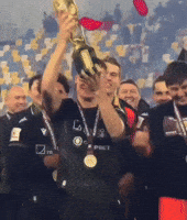 Chesnokov GIF