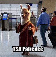 Travel Airport GIF by dalaillamazen