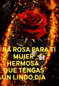 Para Ti Salud GIF by Murcianys LLC