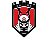 Martial Arts Mma Sticker by Budo Boxing
