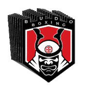 Martial Arts Mma Sticker by Budo Boxing
