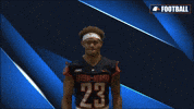 Cnfb GIF by Carson-Newman Athletics