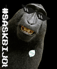 SASK_Roeselare saskbijou saskroeselare sask bijou sask roeselare GIF