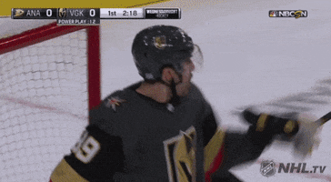 happy ice hockey GIF by NHL