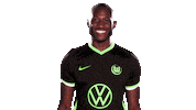 Social Media Sticker Sticker by VfL Wolfsburg