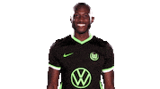Social Media Sticker Sticker by VfL Wolfsburg