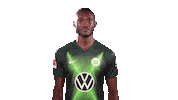 Josuha Guilavogui Instagram Sticker by VfL Wolfsburg