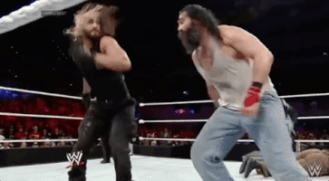 the shield wrestling GIF by WWE