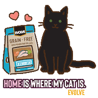 Evolve Black Cat Sticker by Sunshine Mills