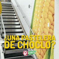 GIF by Minuto Verde