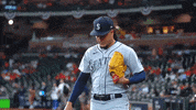 Luis Castillo Baseball GIF by MLB