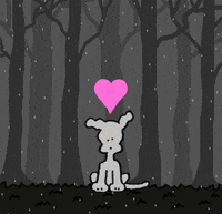 rainy day love GIF by Chippy the dog