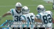 Carolina Panthers Football GIF by NFL