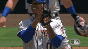 Ny Mets Clap GIF by New York Mets