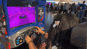 Arcade Games Twitch GIF