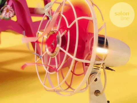 Meu Amor Summer GIF by Salon Line