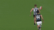 carlton fc cfc GIF by Carlton Football Club