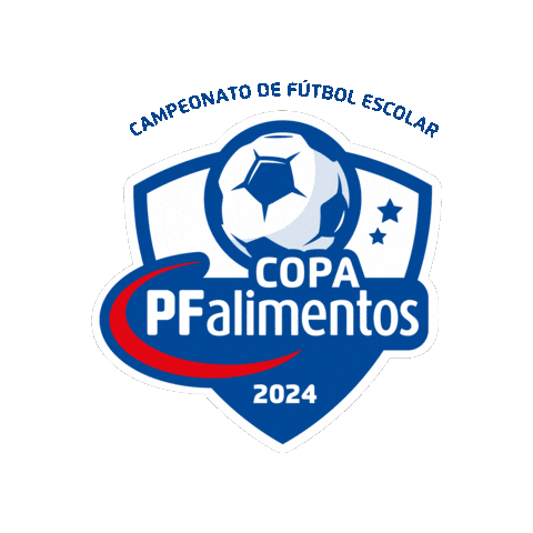 Lch Sticker by LincolnCollegeChile