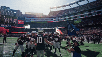 Football Nfl GIF by New England Patriots