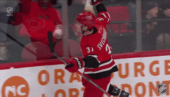 Happy Andrei Svechnikov GIF by NHL