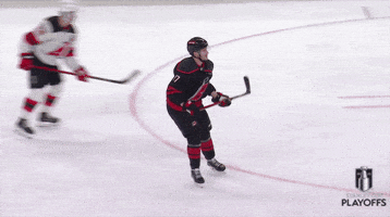 Happy Stanley Cup Playoffs GIF by NHL