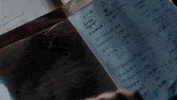 blood and treasure GIF by CBS