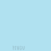 Stars Penguin GIF by Pudgy Penguins