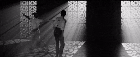 Film Noir GIF by English National Ballet