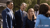 julia louis-dreyfus dave mandel GIF by Veep HBO