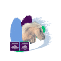 Heart Love Sticker by FEI Global