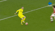 Celebration Reaction GIF by MolaTV