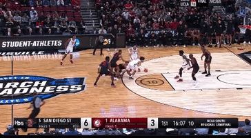 Alabama Basket