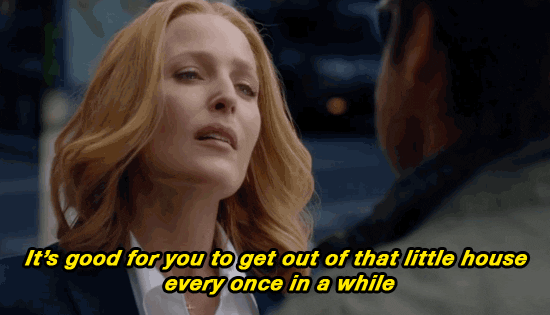 gillian anderson GIF by The X-Files
