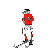 Ski Skier Sticker by arvaequipment