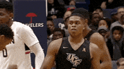 GIF by UCF Knights