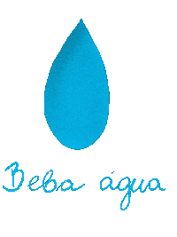 Water Agua Sticker
