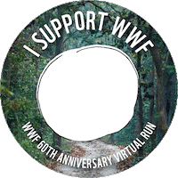 pinoyfitness panda wwf pinoyfitness pinoy fitness Sticker