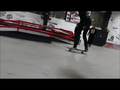 LaraKaa giphygifmaker skateboard female curb GIF