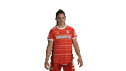 Champions League Bundesliga Sticker by FC Bayern Women