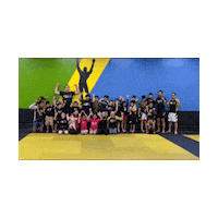 Btt Kids Sticker by Brazilian Top Team