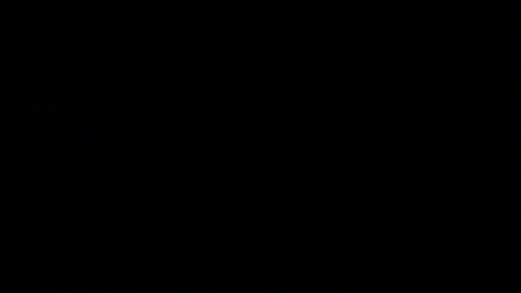 Zealand giphyupload form din fremtid zealand college GIF