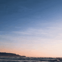 Acaminhada GIF by Jotta A