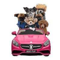 road trip party Sticker by MISO PUP