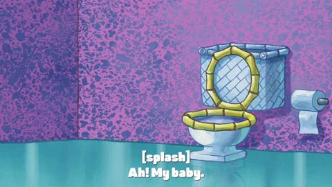 season 10 episode 6 GIF by SpongeBob SquarePants